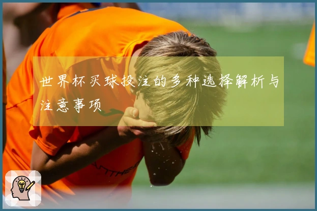 世界杯买球投注的多种选择解析与注意事项
