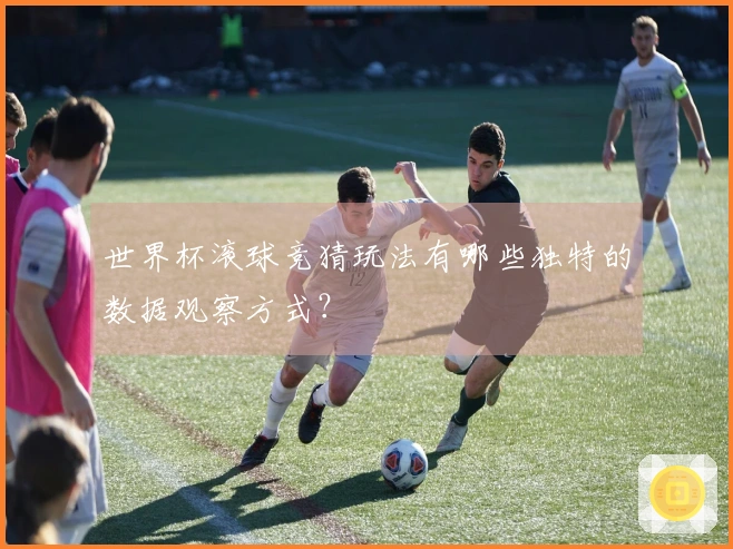 世界杯滚球竞猜玩法有哪些独特的数据观察方式？