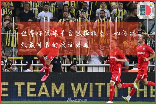 世界杯买球平台选择指南，如何找到最可靠的投注渠道