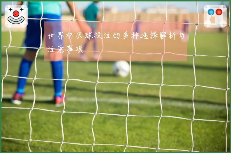 世界杯买球投注的多种选择解析与注意事项
