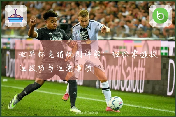 世界杯竞猜规则详解：轻松掌握投注技巧与注意事项