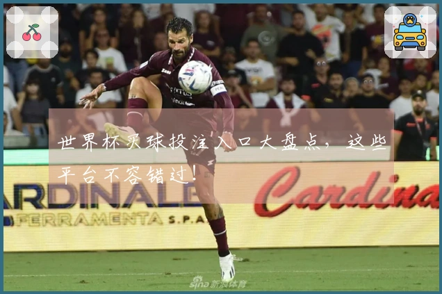 世界杯买球投注入口大盘点，这些平台不容错过！