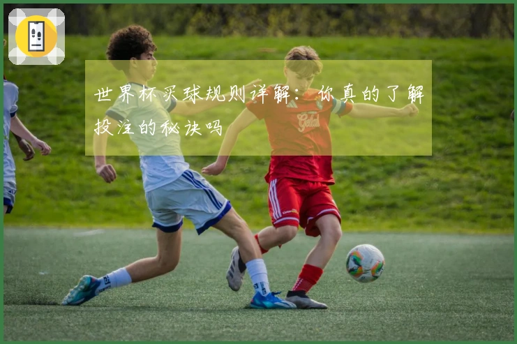世界杯买球规则详解：你真的了解投注的秘诀吗