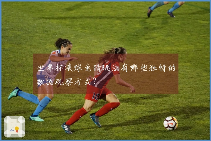 世界杯滚球竞猜玩法有哪些独特的数据观察方式？