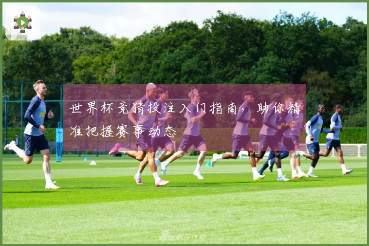世界杯竞猜投注入门指南，助你精准把握赛事动态