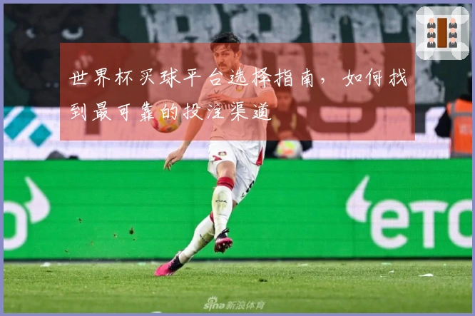 世界杯买球平台选择指南，如何找到最可靠的投注渠道