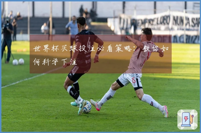 世界杯买球投注必看策略：教你如何科学下注