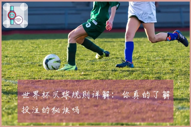 世界杯买球规则详解：你真的了解投注的秘诀吗
