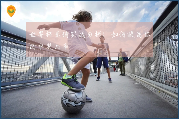 世界杯竞猜实战分析：如何提高你的中奖几率