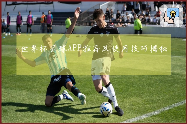 世界杯买球APP推荐及使用技巧揭秘