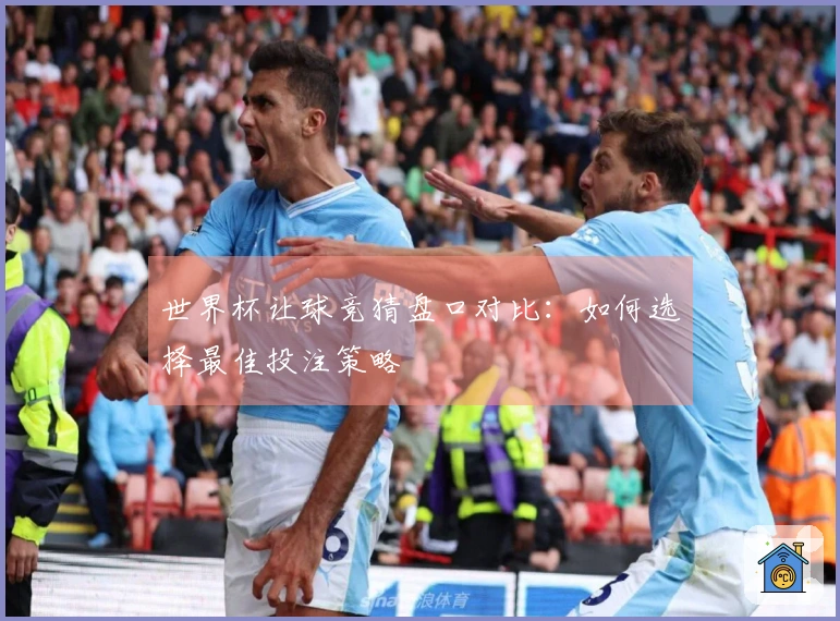世界杯让球竞猜盘口对比：如何选择最佳投注策略