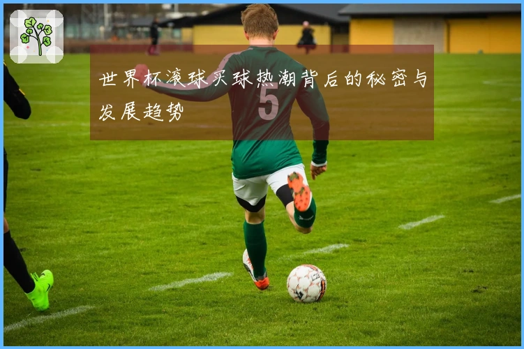 世界杯滚球买球热潮背后的秘密与发展趋势