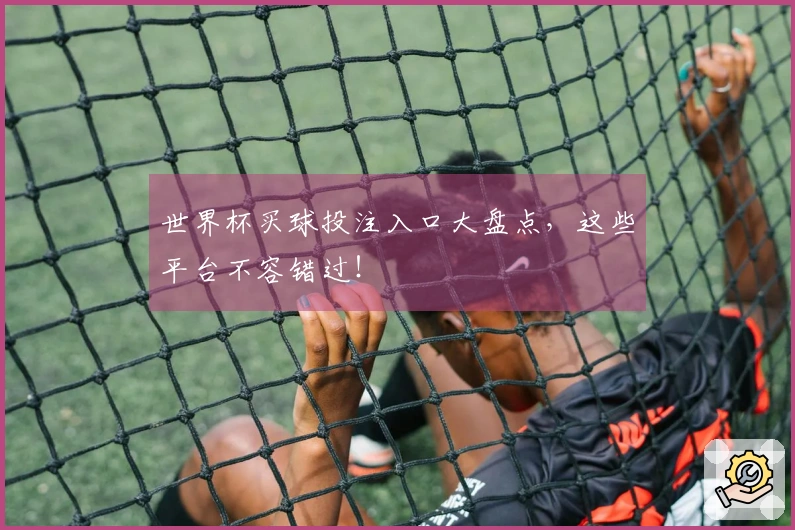 世界杯买球投注入口大盘点，这些平台不容错过！
